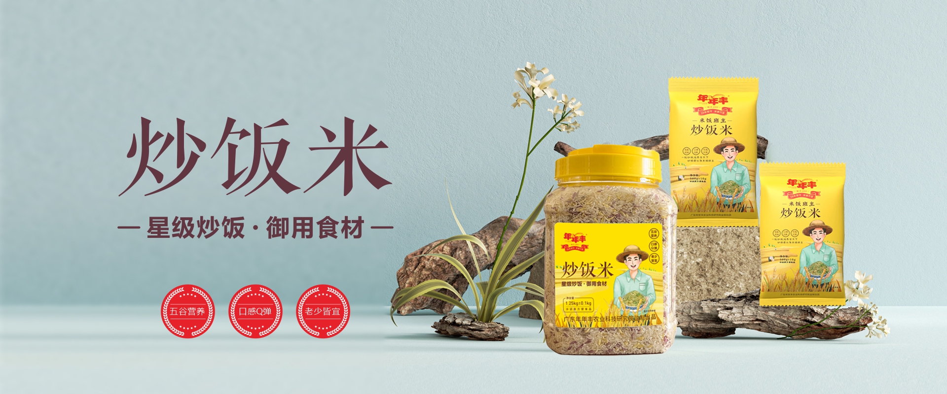 轮播图3-炒饭米1